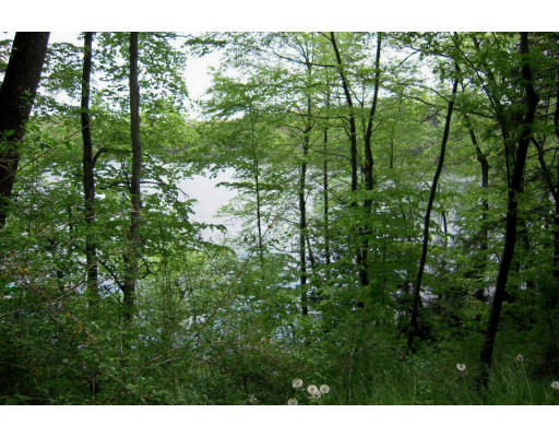 129 Dudley Road Wayland, MA 01778 - Photo 11 of 11 Gallery Image 11