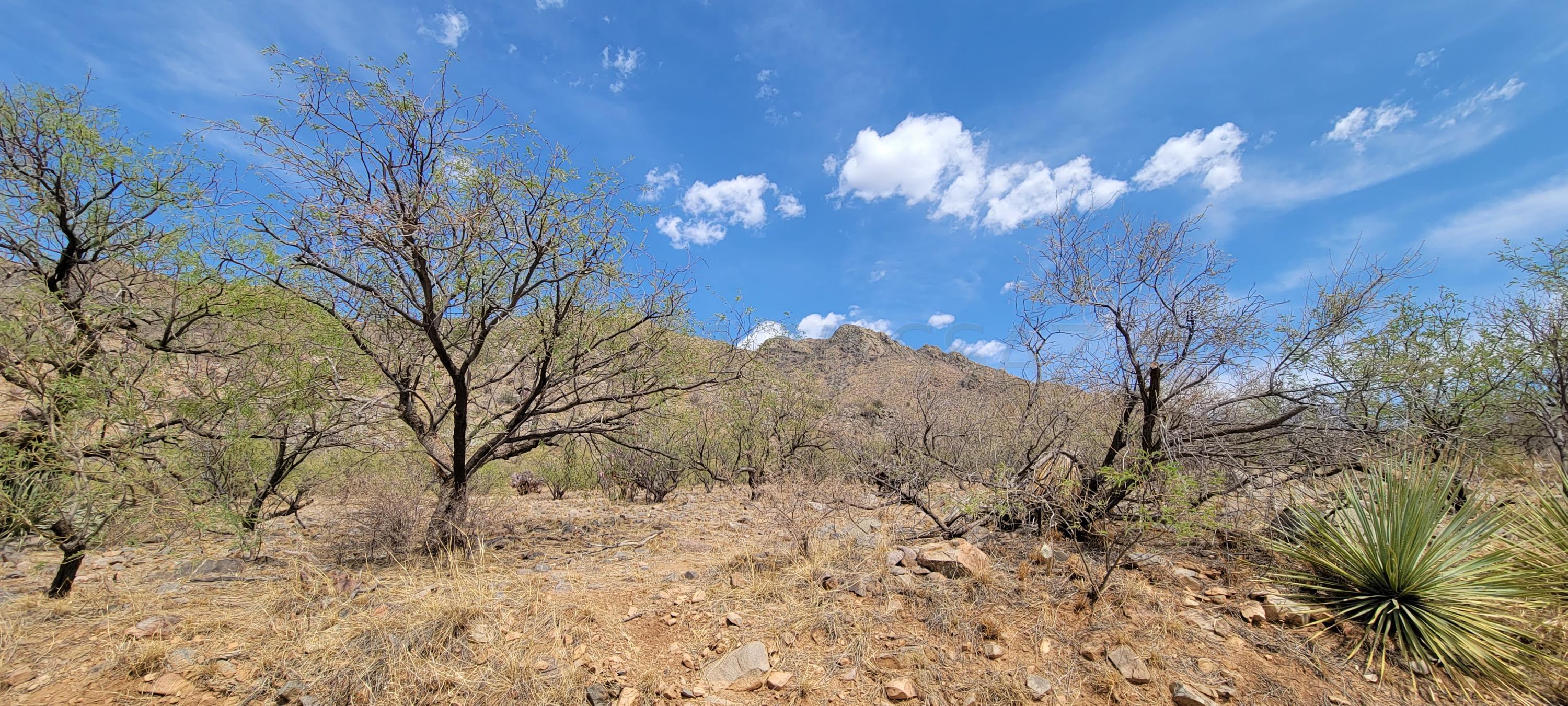 1501 Vía San Cayetano, Unit 25 Rio Rico, AZ 85648 - Photo 4 of 16