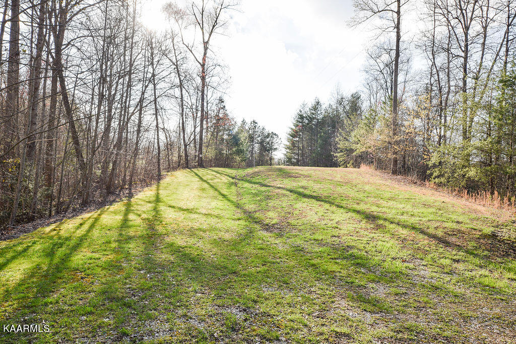 117 High Top Road Reliance, TN 37369 - Photo 1 of 8 DSC_0884