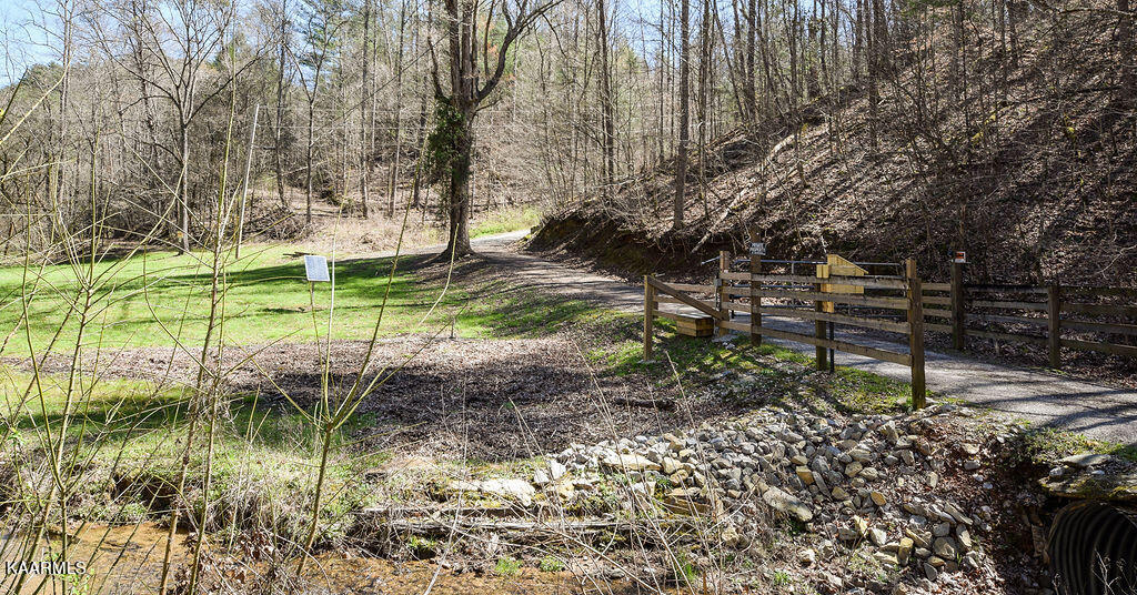 117 High Top Road Reliance, TN 37369 - Photo 5 of 8 DSC_0415
