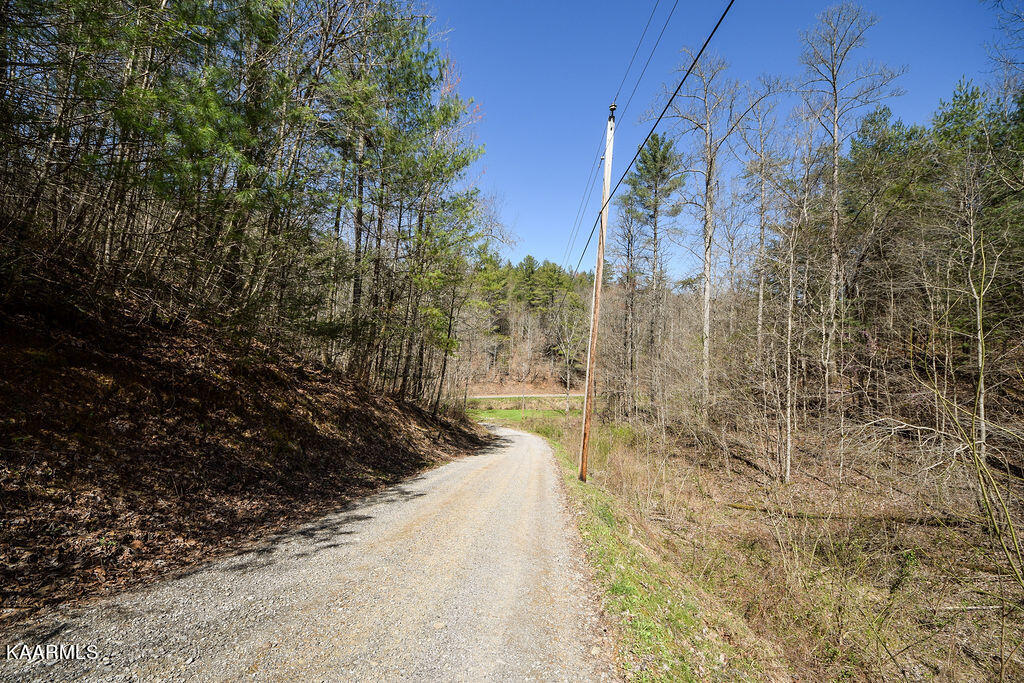 117 High Top Road Reliance, TN 37369 - Photo 6 of 8 DSC_0413