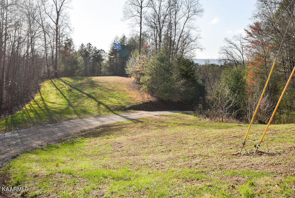 117 High Top Road Reliance, TN 37369 - Photo 7 of 8 DSC_0887