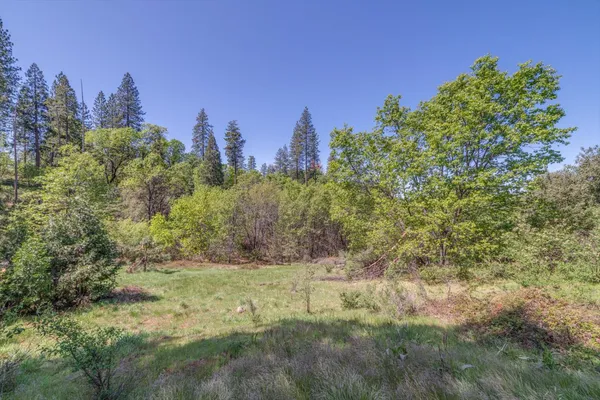 $175,000 | 241 Red Apple Drive, Murphys, CA 95247