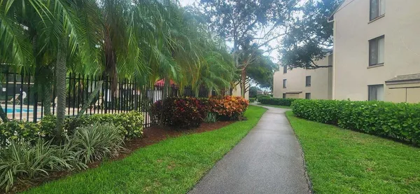 a view of a garden with pathway