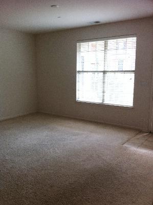 1038 Swift Road, Unit 1B Glen Ellyn, IL 60137 - Photo 3 of 10