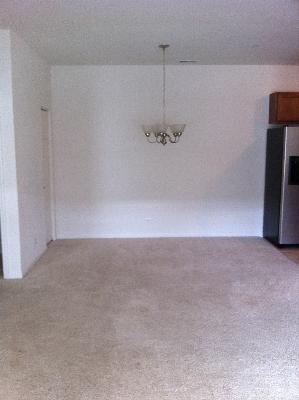 1038 Swift Road, Unit 1B Glen Ellyn, IL 60137 - Photo 4 of 10