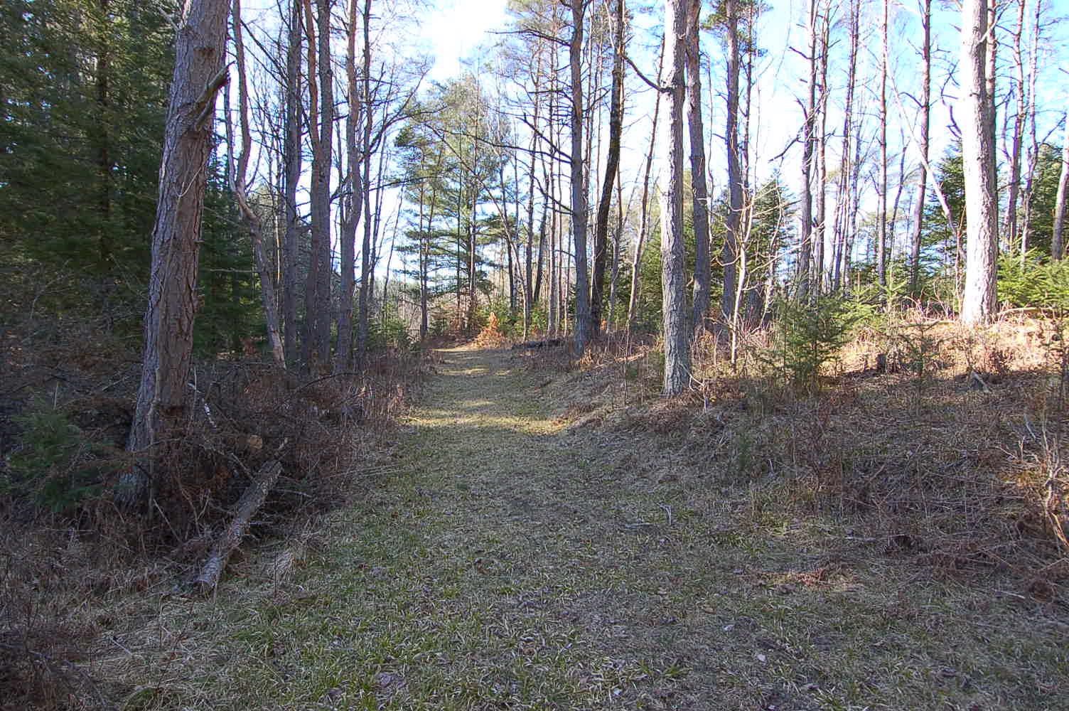 21371 Hibma Road Tustin, MI 49688 - Photo 2 of 20