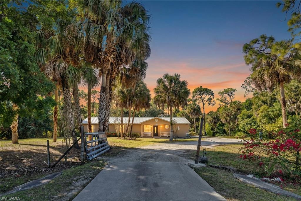 View of front of property with a porch, dirt driveway, a front lawn, a metal roof, and view of wooded area