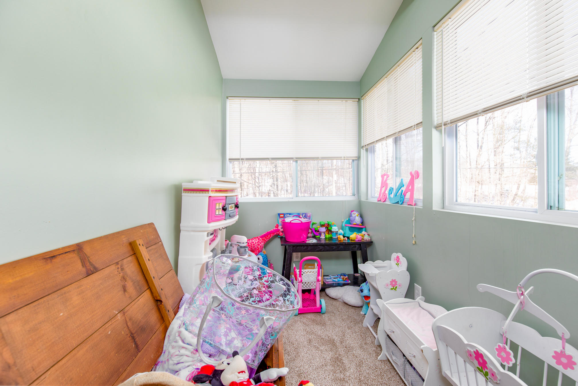 345 Townsend Brook Road Auburn, ME 04210 - Photo 29 of 31 0H9A1649-Edit