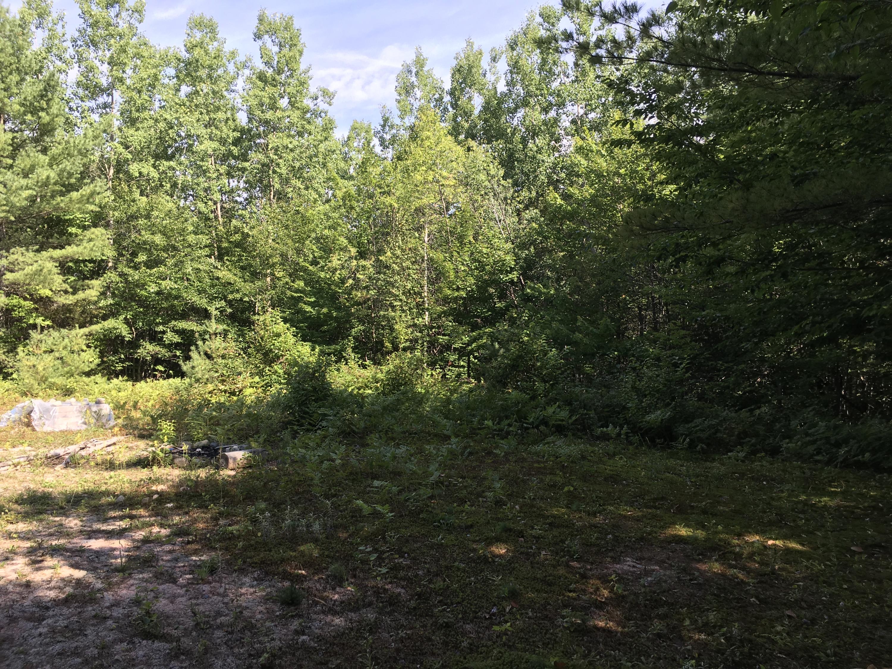 319 East Branch Road Howland, ME 04448 - Photo 2 of 11 375853A9-00FF-419E-8210-A798A6F611F7