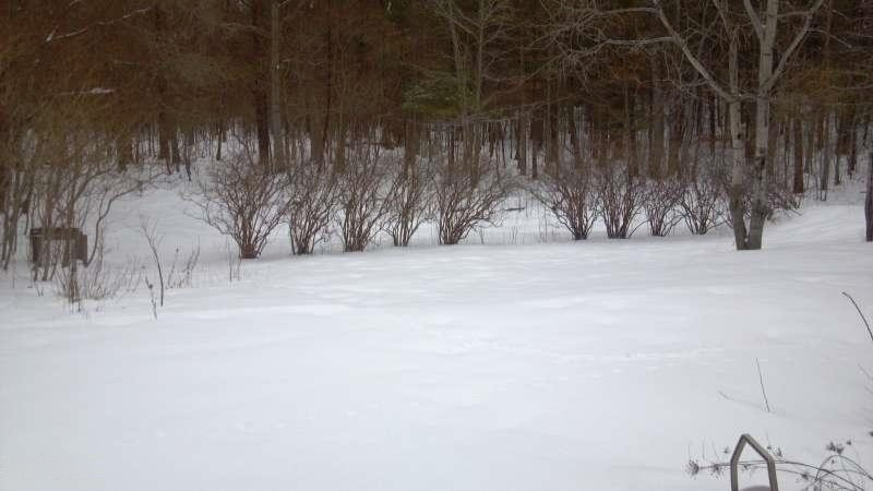 3660 West Giles Road Muskegon, MI 49445 - Photo 5 of 5 2015-01-22_13-59-50_177