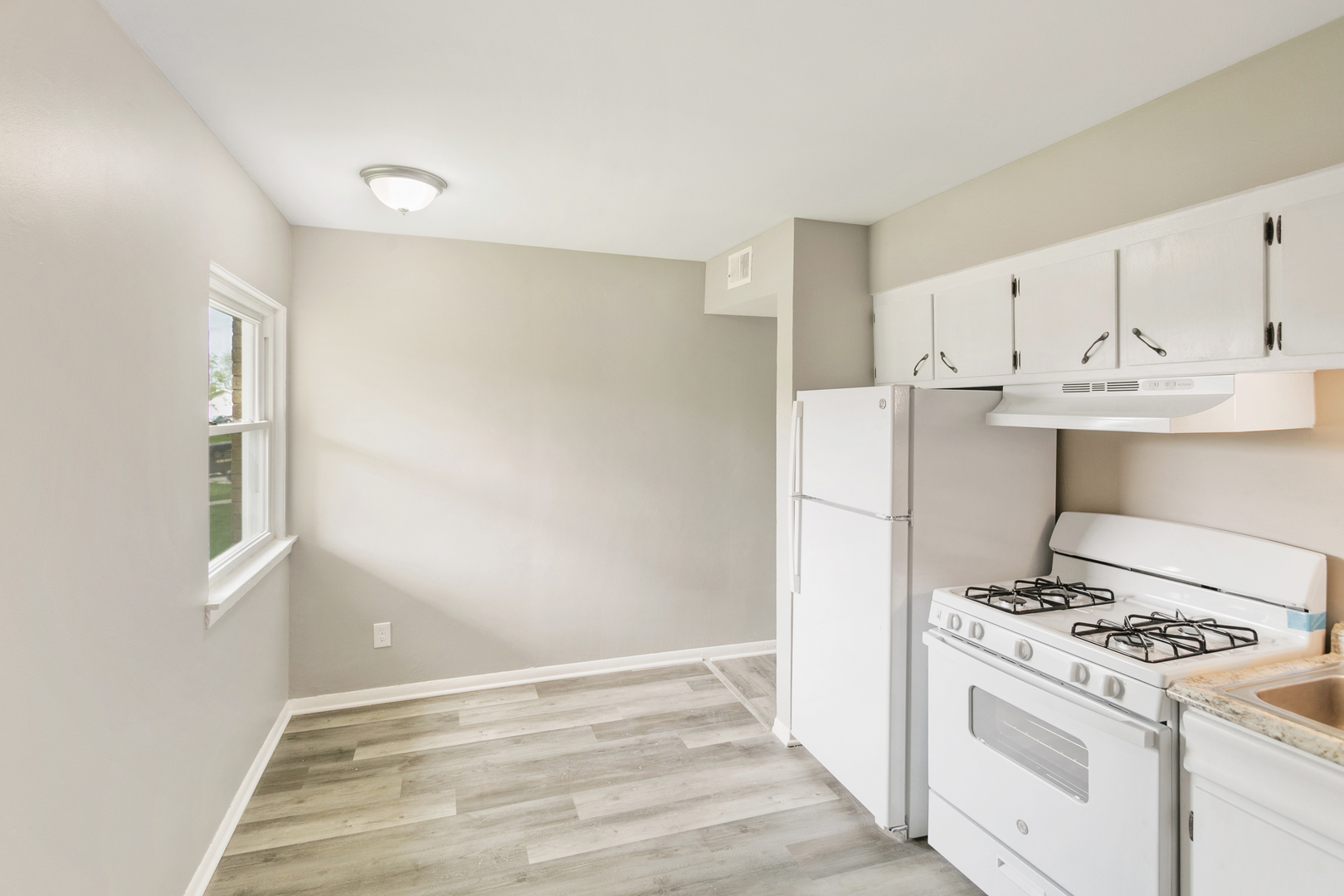 991 Tollview Avenue, Unit 4 Aurora, IL 60505 - Photo 3 of 9