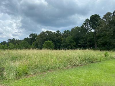 0 Denny Road Deville, LA 71328 - Photo 3 of 3