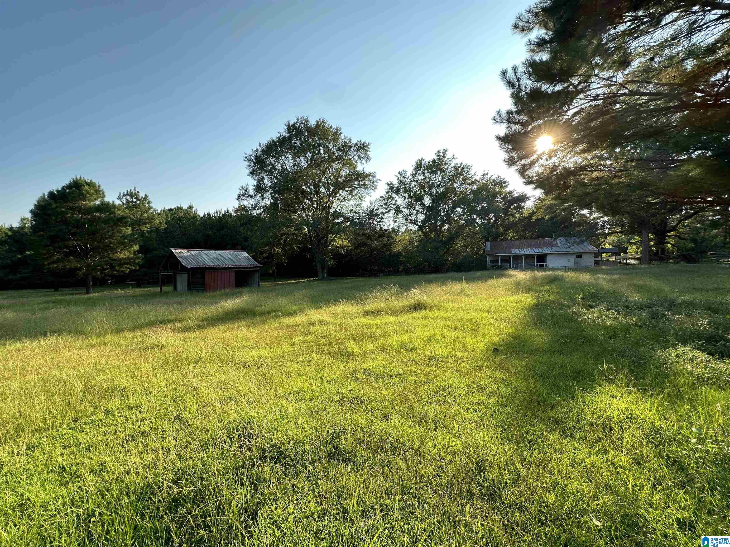 0 Honeycut Road Randolph, AL 36792 - Photo 9 of 29