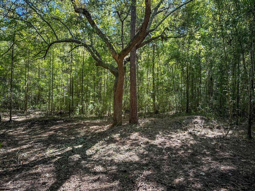1 Hard Pinch Road Moncks Corner, SC 29461 - Photo 8 of 16