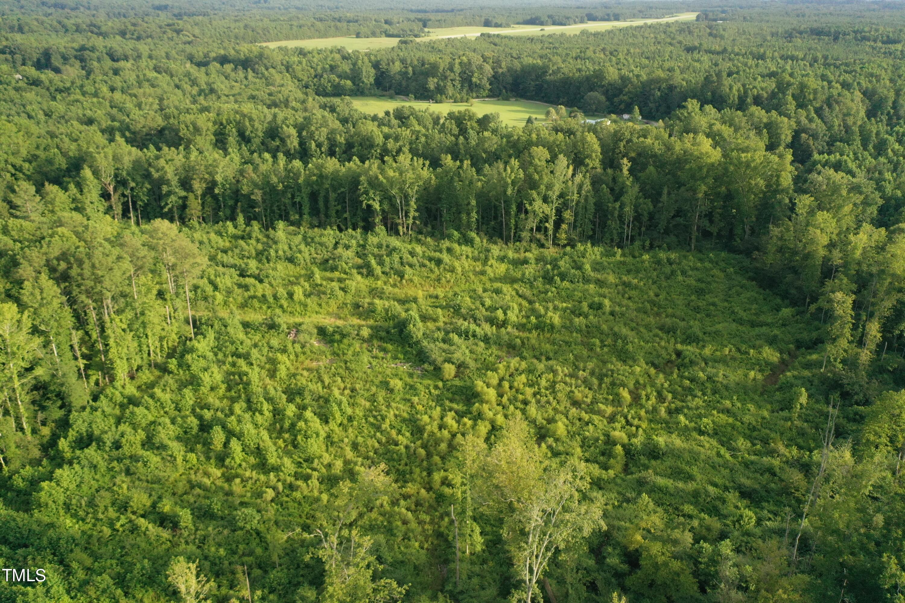 DJI_0377