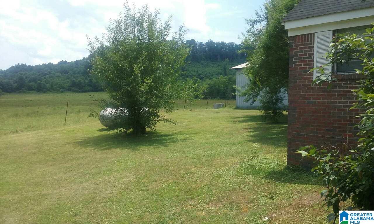 484 Wright Road Blountsville, AL 35031 - Photo 5 of 9