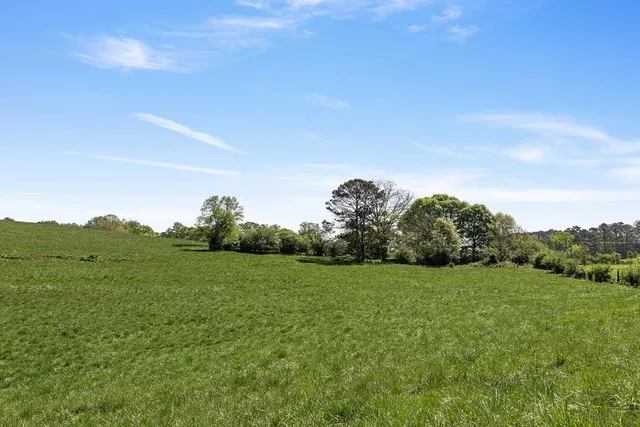 a view of a grassy field with trees