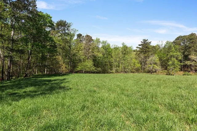 a view of a grassy field with trees in the background