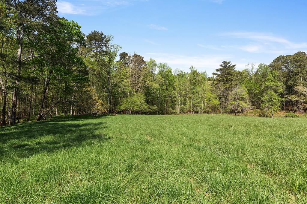 8405 Hearn Road Palmetto, GA 30268 - Photo 12 of 28 a view of a grassy field with trees in the background