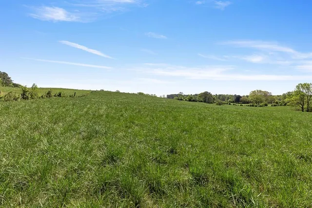 a view of a city with lush green forest