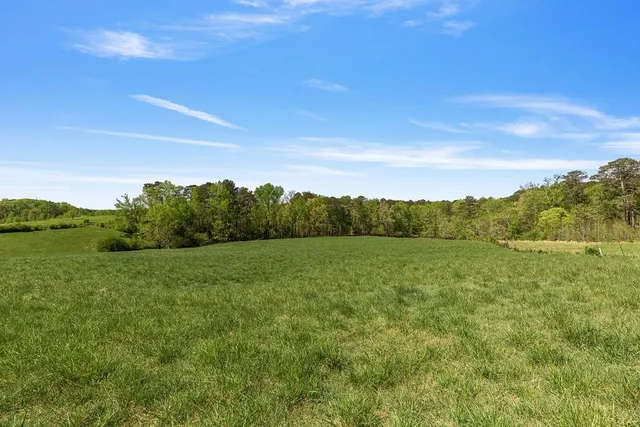 a view of a green field with an trees