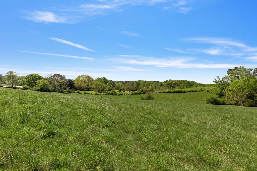 8405 Hearn Road Palmetto, GA 30268 - Photo 16 of 28 a view of a lush green space with sea