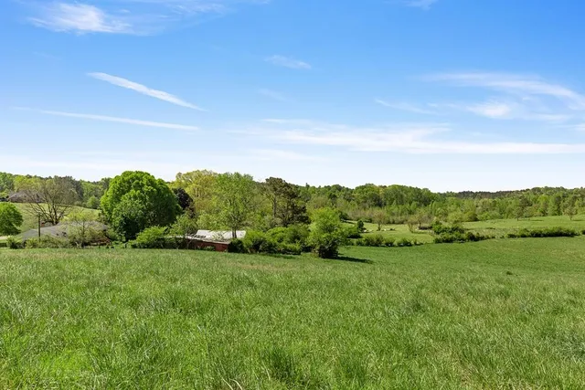a view of grassy field with mountain