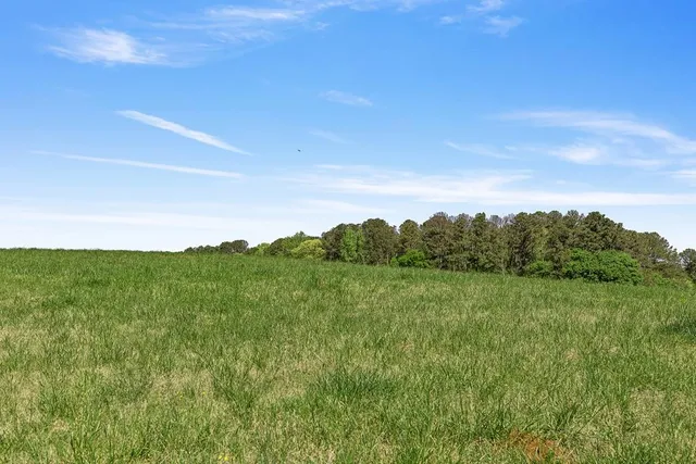 a view of a field with an trees