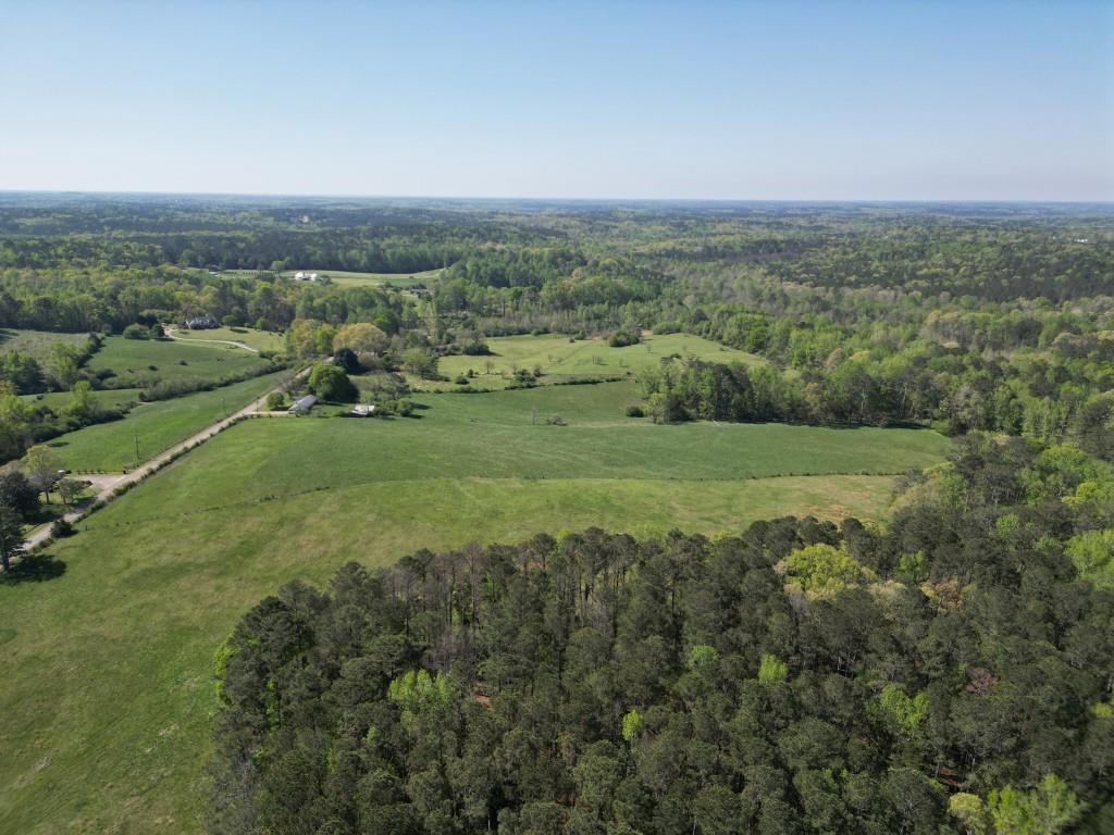 8405 Hearn Road Palmetto, GA 30268 - Photo 27 of 28 a view of a grassy area with an trees