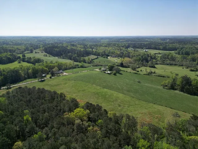 a view of a green field with lots of trees in it