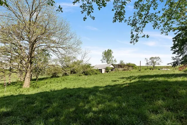a view of a grassy field with trees