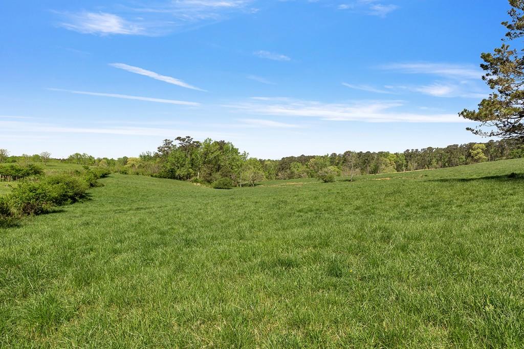 8405 Hearn Road Palmetto, GA 30268 - Photo 9 of 28 a view of a field with a tree in the background