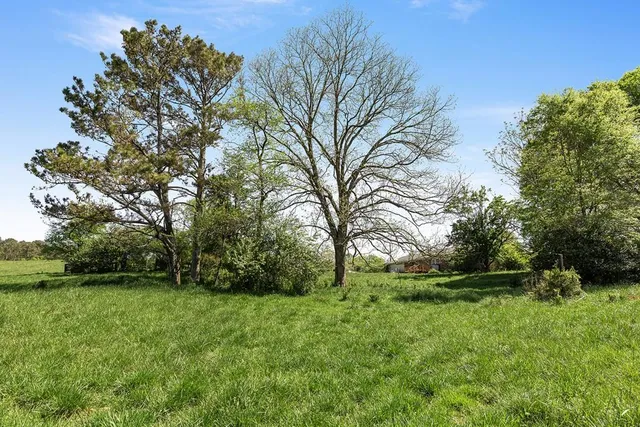 a view of outdoor space with deck and yard