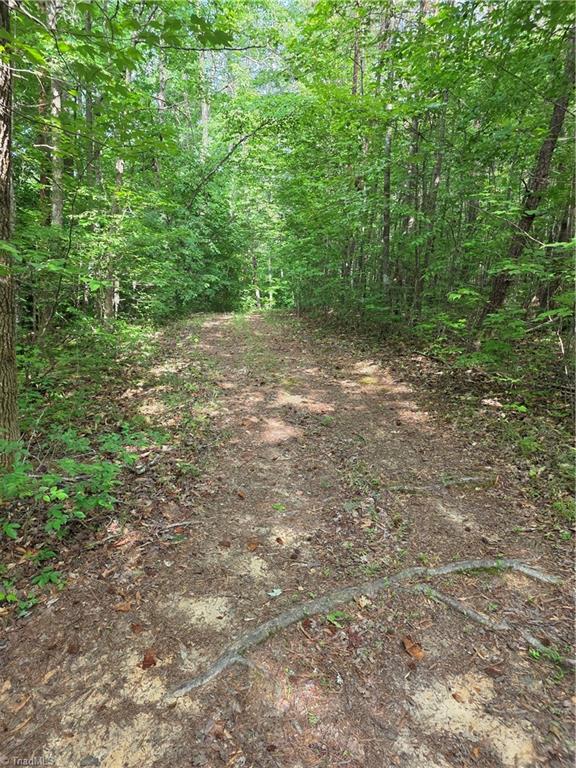 Xx 31.85-ac Xx 31.85-ac Hampton Road Germanton, NC 27019 - Photo 24 of 33