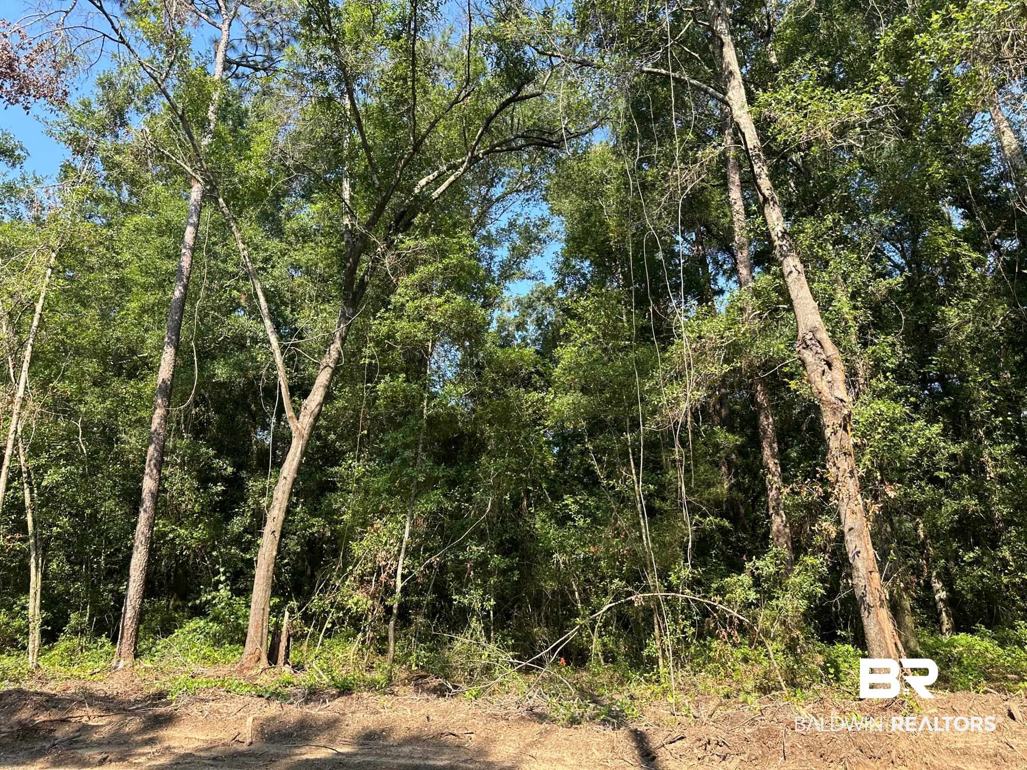 14356 State Highway Silverhill, AL 36576 - Photo 13 of 15