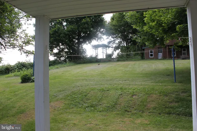 a view of a trees in a yard
