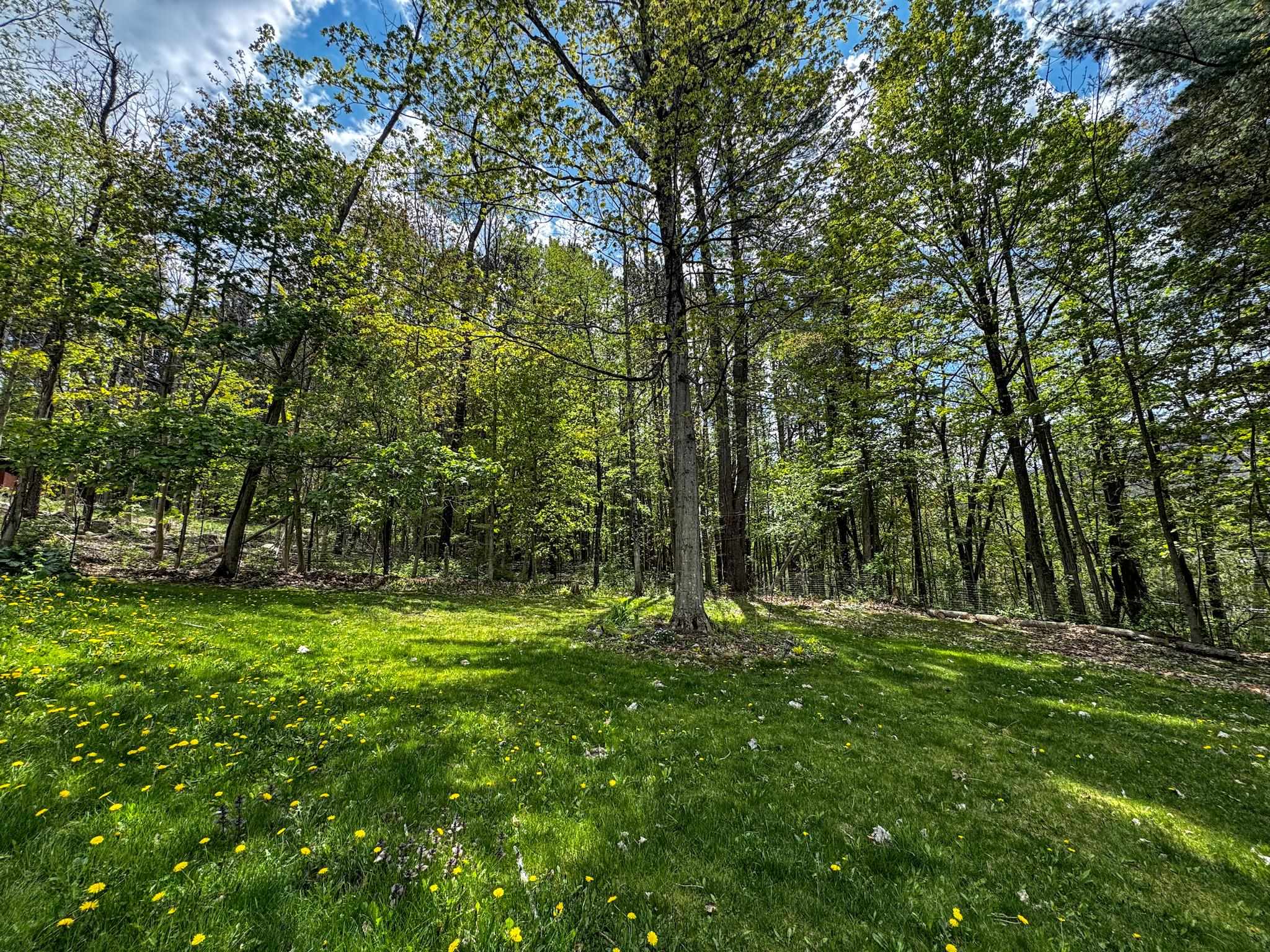 131 Pine Circle Bennington, VT 05201 - Photo 57 of 59