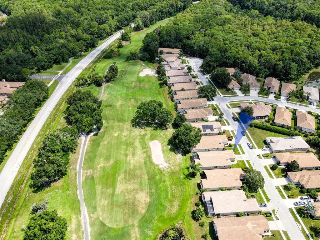 3944 Silk Oak Lane Palm Harbor, FL 34685 - Photo 5 of 60 Gallery Image 5