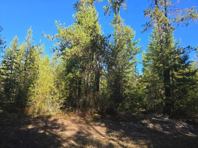 $252,000 | Xxx Red Tail Way, Colville, WA 99114