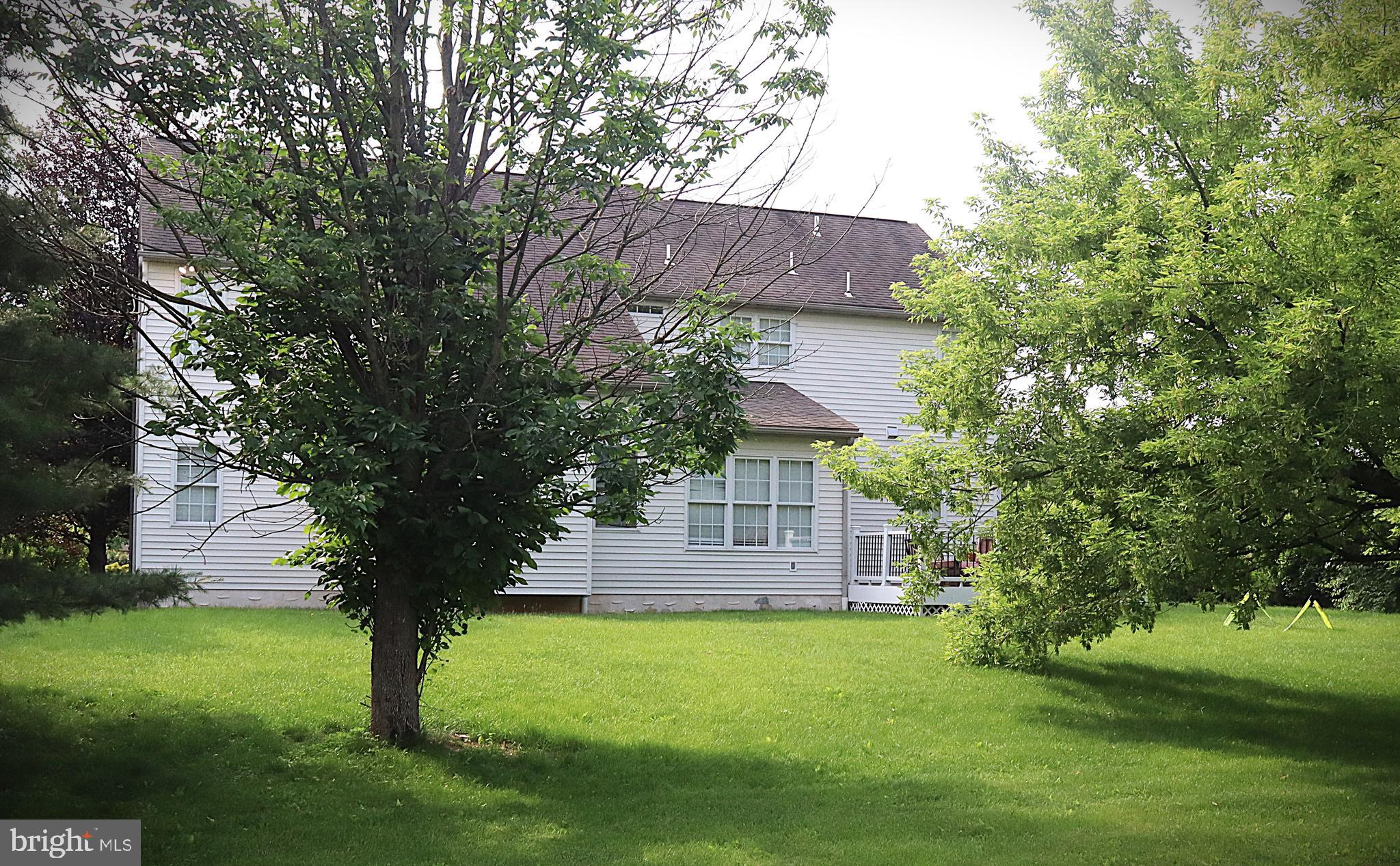 320 Wisteria Lane Sinking Spring, PA 19608 - Photo 31 of 34 Rear trees
