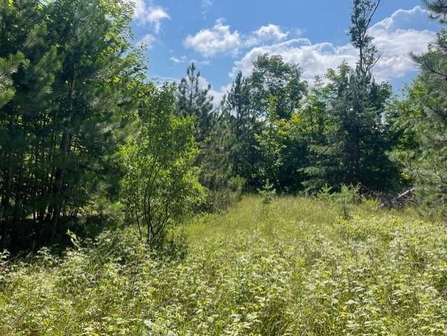 V/l V/l Windy Ridge Beulah, MI 49617 - Photo 10 of 20