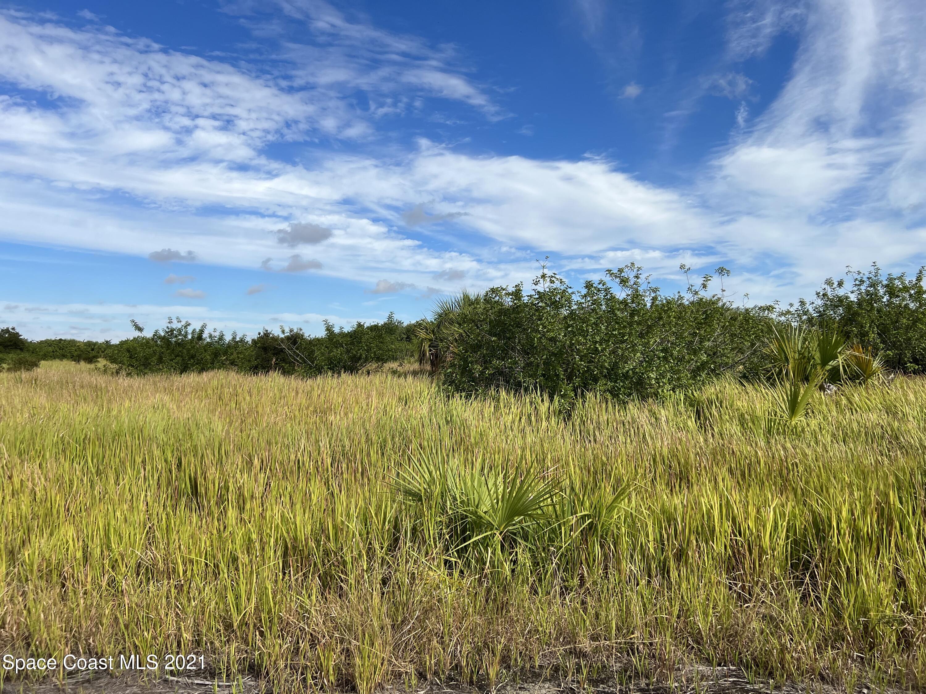 1210 Roland Street Southwest Palm Bay, FL 32908 - Photo 5 of 7 a view of lake with green space