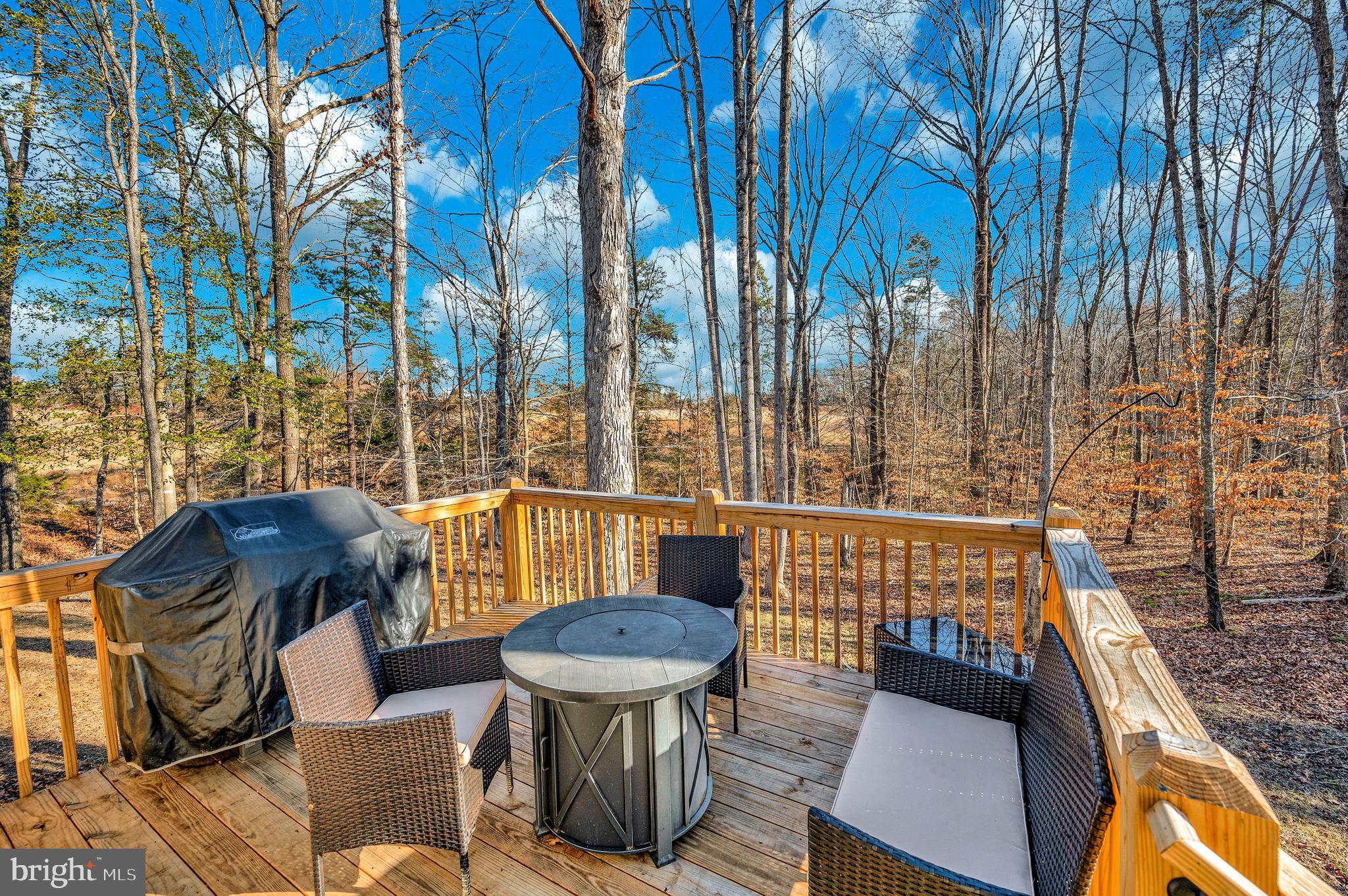 26399 Orange Springs Road Unionville, VA 22567 - Photo 37 of 40