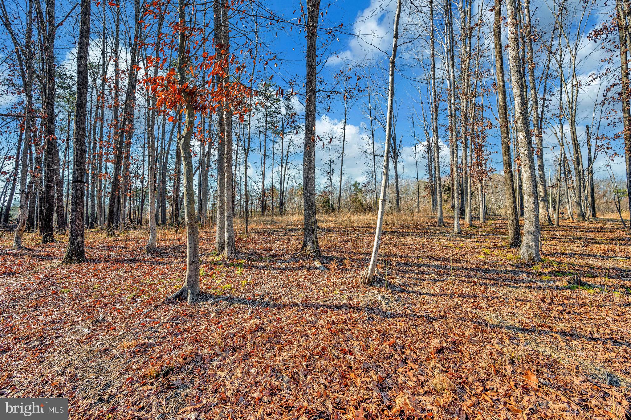 26399 Orange Springs Road Unionville, VA 22567 - Photo 38 of 40