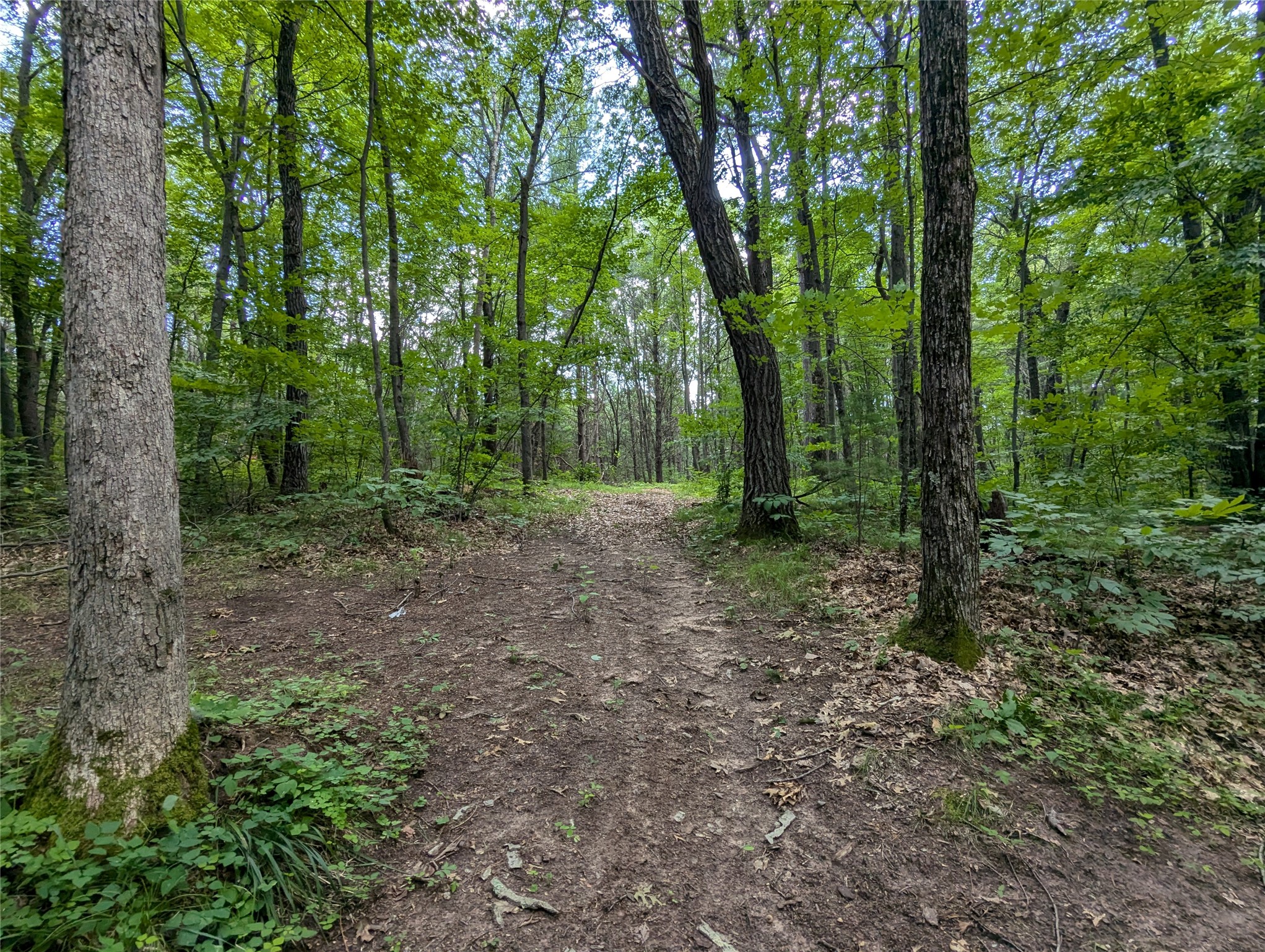 Lot 4 Fosmo Drive Webster, WI 54893 - Photo 2 of 13