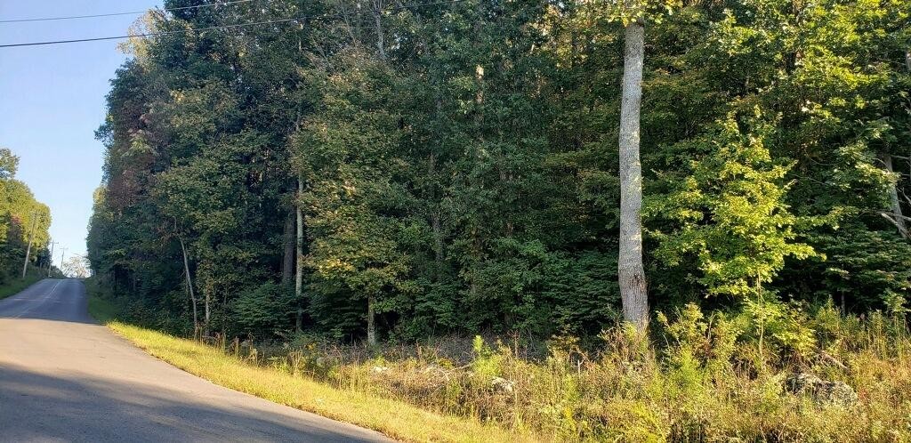 25 Northwest No Pone Road Georgetown, TN 37336 - Photo 2 of 4