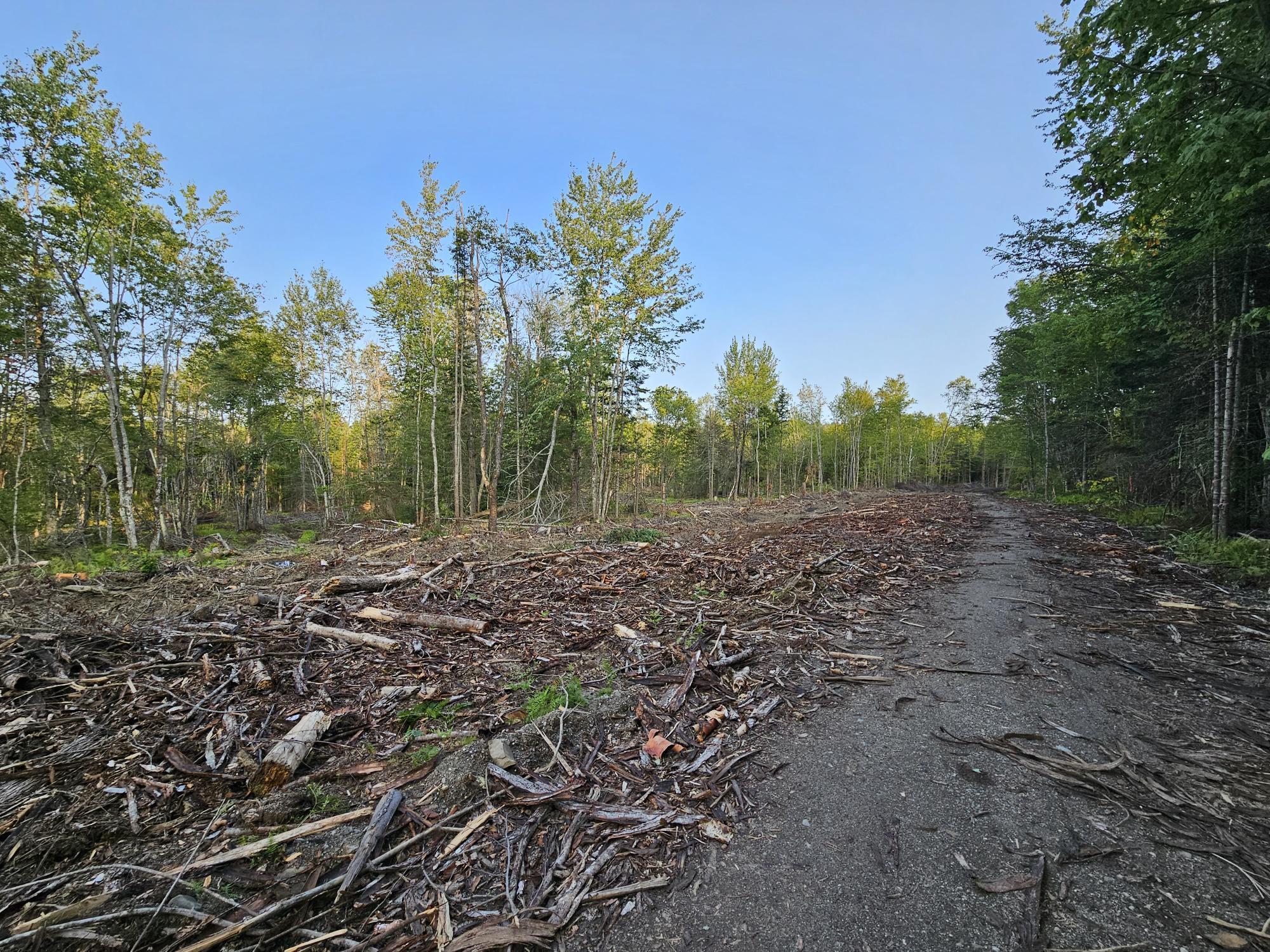 38 Bog Hill Road Searsport, ME 04974 - Photo 7 of 18 20230901_173825