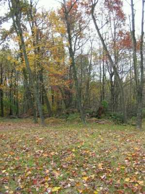 352 McVille Road Freeport, PA 16229 - Photo 7 of 8 Other.