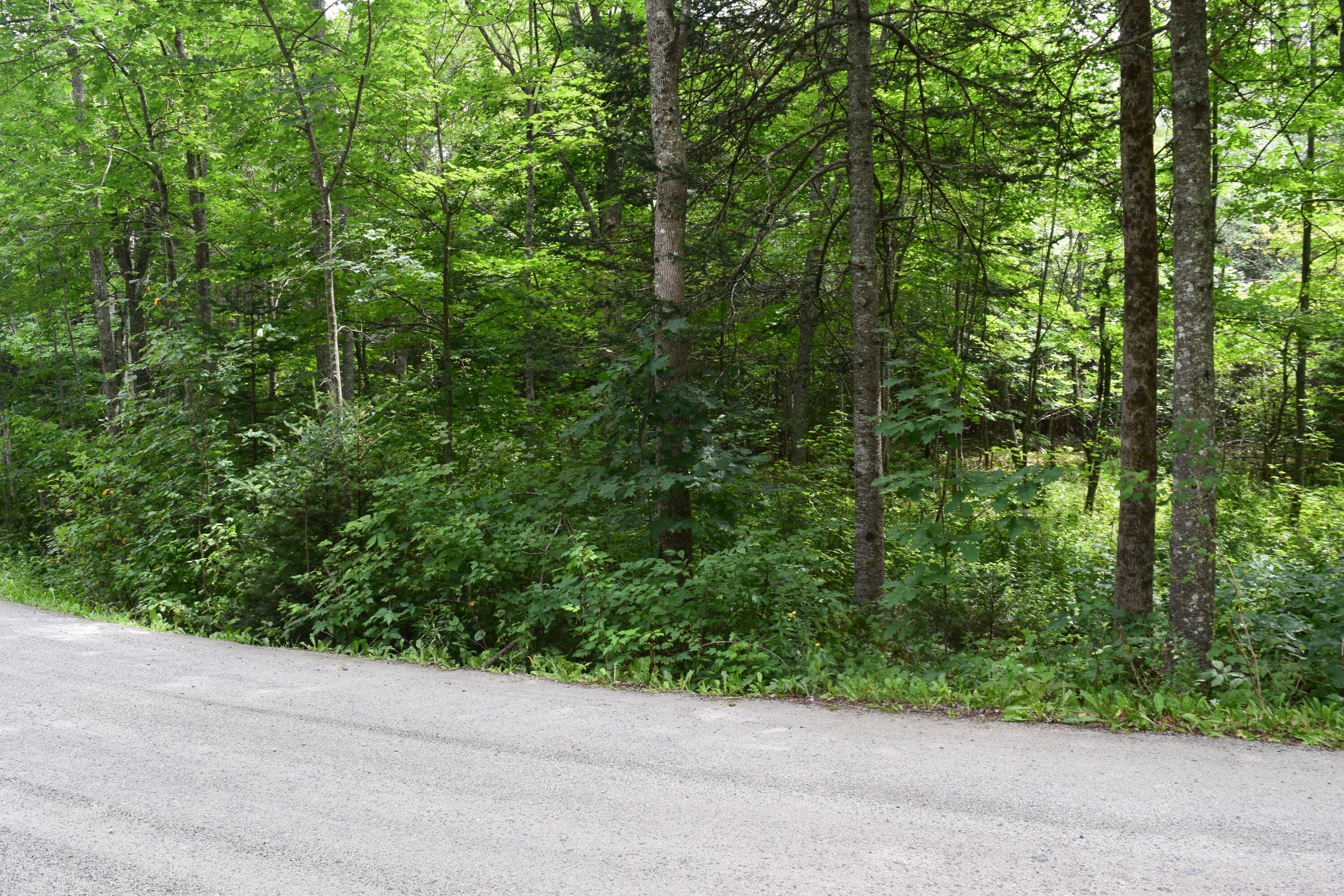 0 Toashuh Way Ellsworth, ME 04605 - Photo 4 of 6 DSC_0004